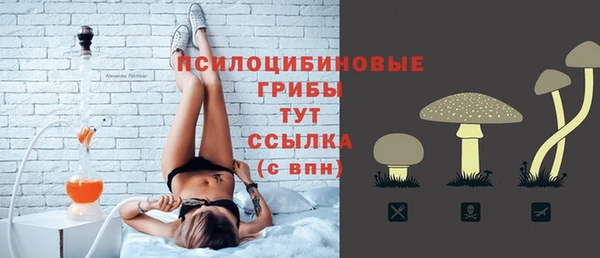 молекула духа Аркадак