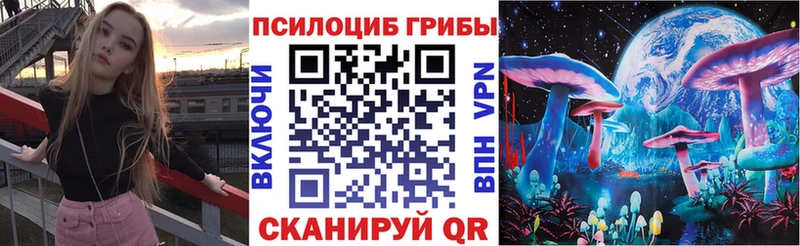 darknet клад что такое Георгиевск Псилоцибиновые грибы Magic Shrooms